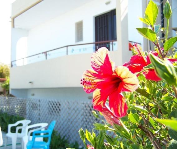 Evi Apartments And Studios Theológos Exterior foto