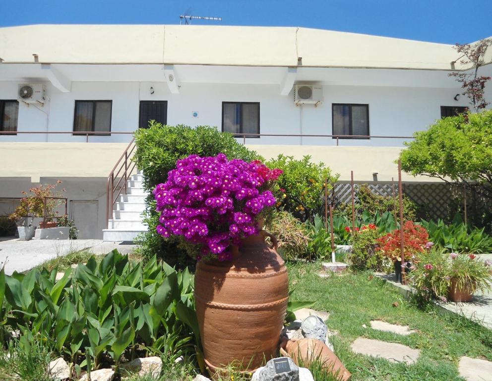 Evi Apartments And Studios Theológos Cameră foto