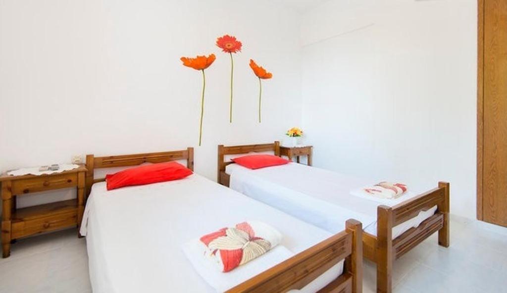Evi Apartments And Studios Theológos Cameră foto
