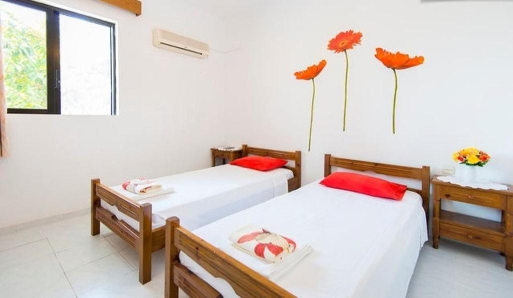 Evi Apartments And Studios Theológos Cameră foto